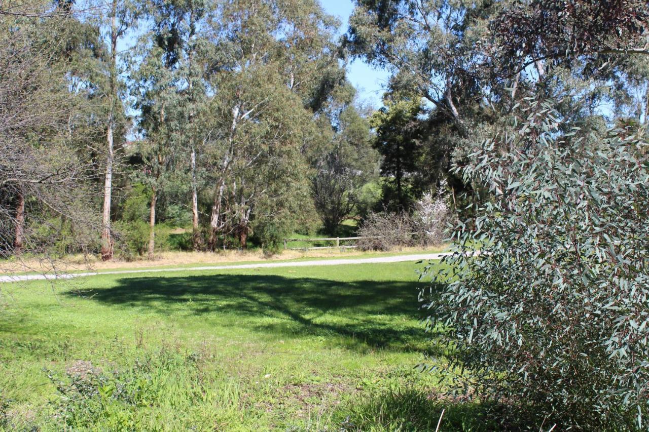 Australian Home Away @ Doncaster Grange Park Melbourne Buitenkant foto